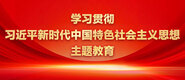 用力操骚逼学习贯彻习近平新时代中国特色社会主义思想主题教育_fororder_ad-371X160(2)